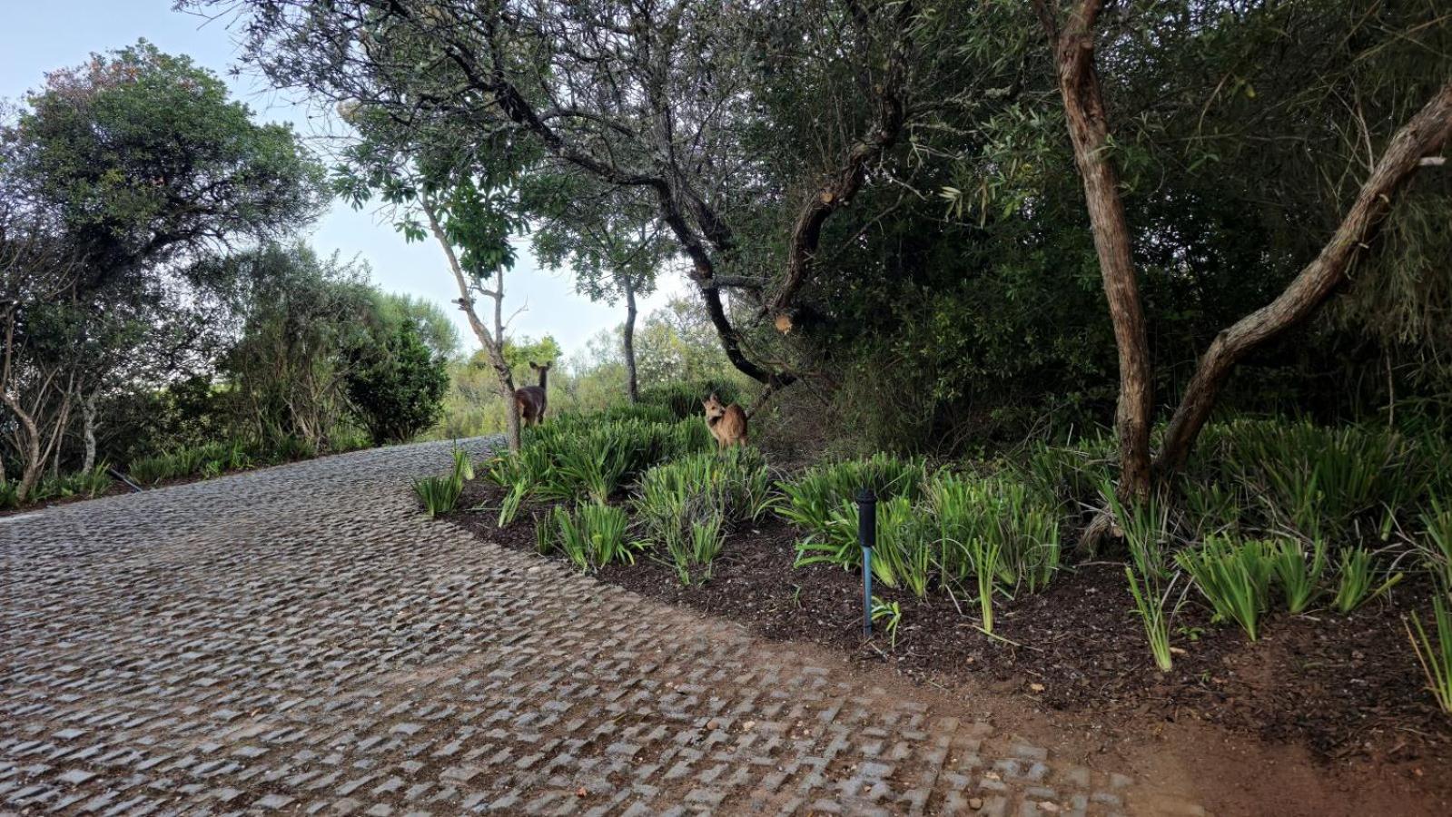 Oubaai Villa By Raw Africa Collection Heroldsbaai Buitenkant foto